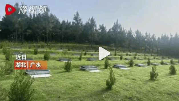 【404文库】常识流通处｜强制购买公墓，湖北随州太随意