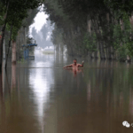 小小声说话｜为什么中国媒体对华北暴雨洪水的报道很少提及气候变化？