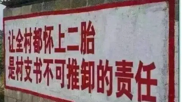 马与人说｜你被街道办催孕了吗？