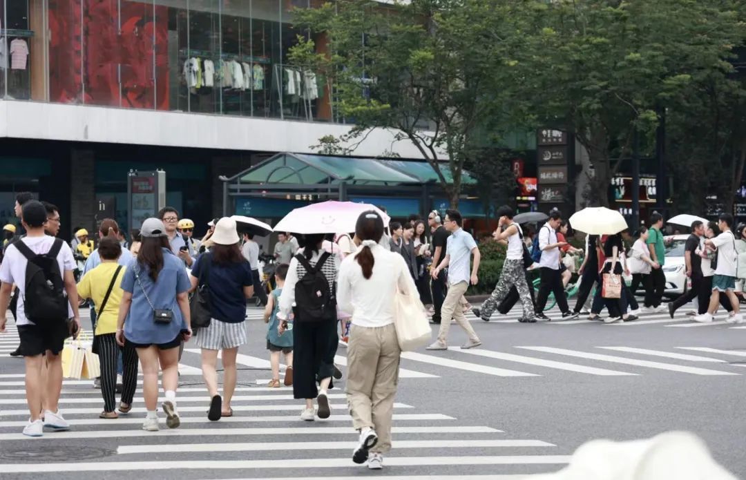 冰川思享号｜教授鼓励年轻人啃老，有一种鸡汤叫“媚青”