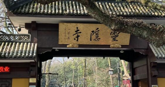 【404文库】人生不鱼期｜灵隐寺没保住叙利亚，却提前送走了阿萨德