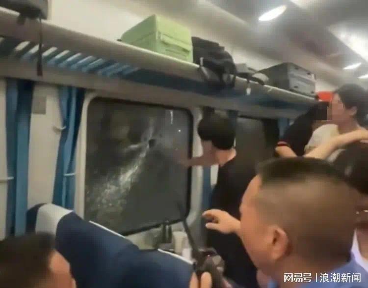 旧闻评论｜不服从可能是所有人的退路