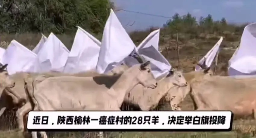 【404文库】鸡蛋bot｜公益人坚果兄弟、郑宏彬遭榆林警方行拘20日，曝光环保问题属寻衅滋事？