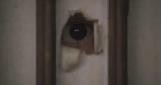 蛙蛙和洼｜中国的maskpark，可能比韩国N号房更恶劣