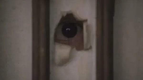 蛙蛙和洼｜中国的maskpark，可能比韩国N号房更恶劣