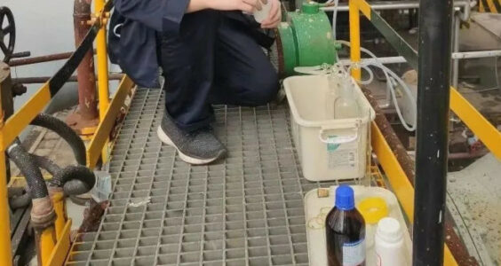 蛙蛙和洼｜如此生活20年，直到坠入岩浆