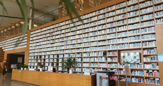 山顶洞人｜中年人坐在图书馆里，努力上进但无意义