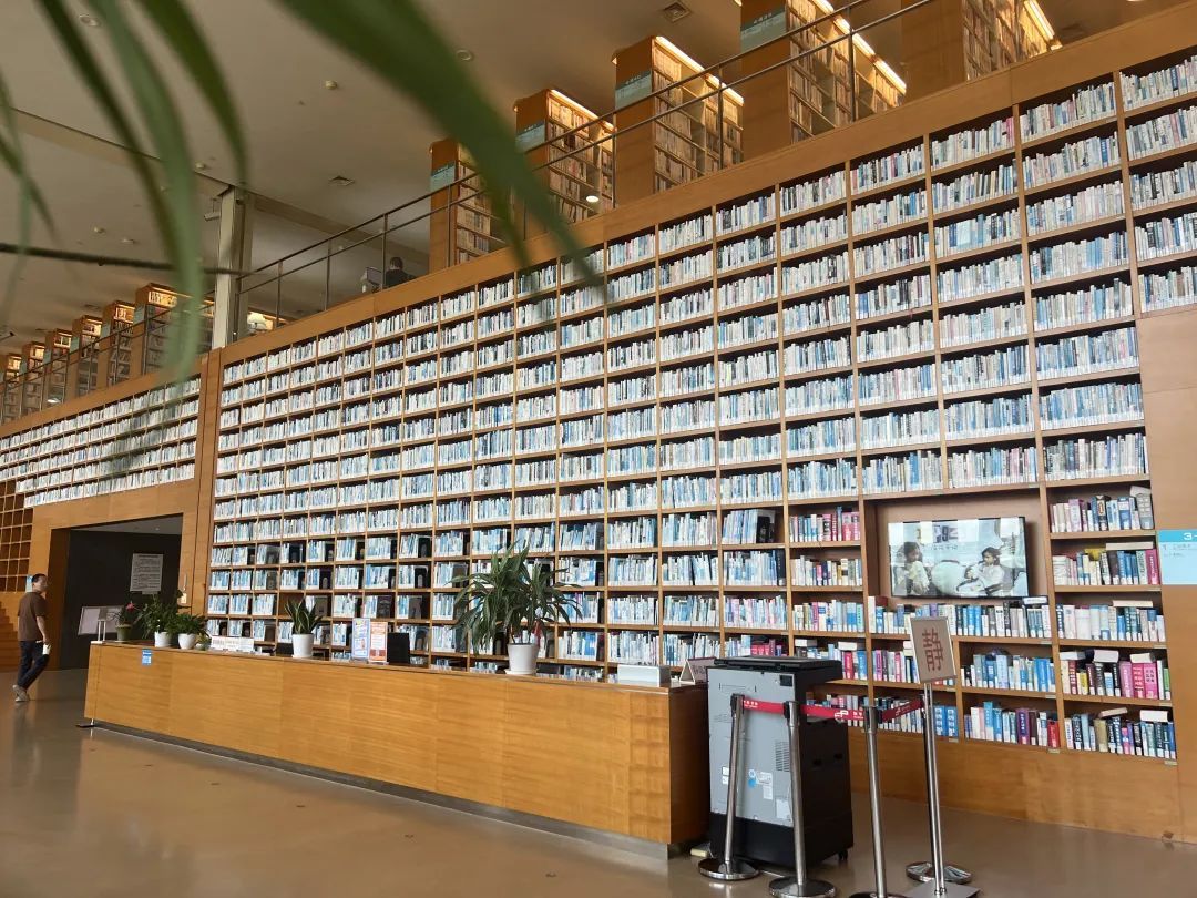 山顶洞人｜中年人坐在图书馆里，努力上进但无意义