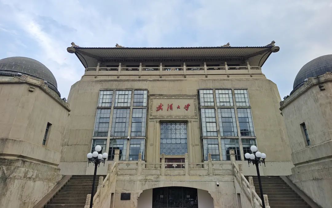 冰川思享号｜武大应全面调查：谁是力保杨某媛的幕后推手