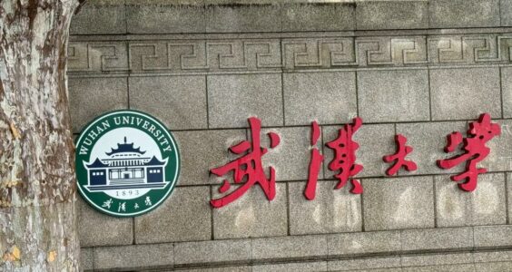 林三土｜不是诬告，是案由不适用