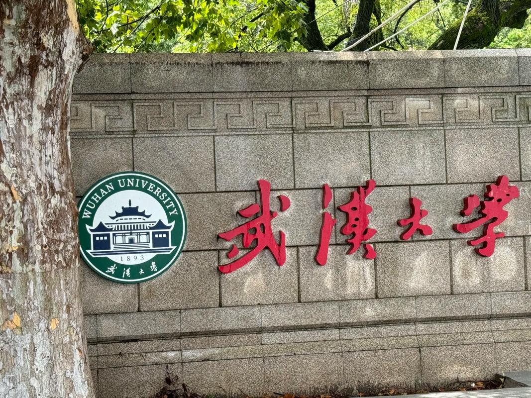 林三土｜不是诬告，是案由不适用