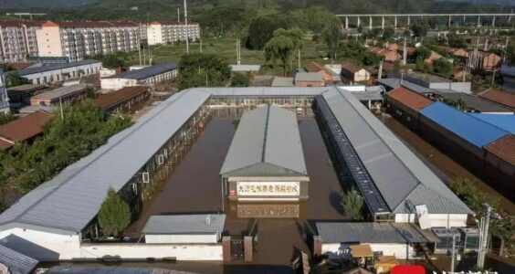 【404文库】就叫熊太行也行｜死了这么多人，可不是哽咽两句就能敷衍过去的