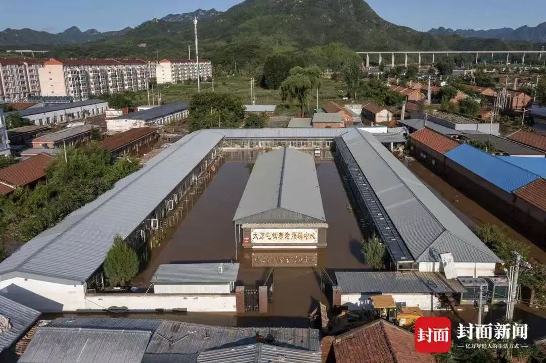 【404文库】就叫熊太行也行｜死了这么多人，可不是哽咽两句就能敷衍过去的