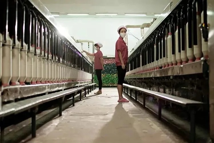 人物｜「妈妈为什么要打工」