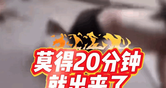 【404文库】基本常识｜霸凌同学的青少年，进去20分钟就被放出来……