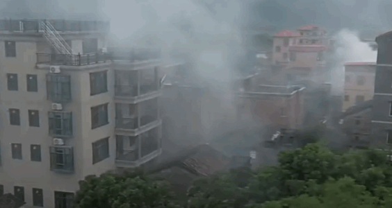 浣花溪杜甫｜倒积水，平菜地，清天台，拆房子，灭蚊变味了