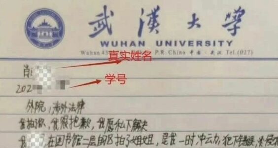 女巫之夜｜7千字深度解读，武大肖M瑫的秘密全都藏在判决书里