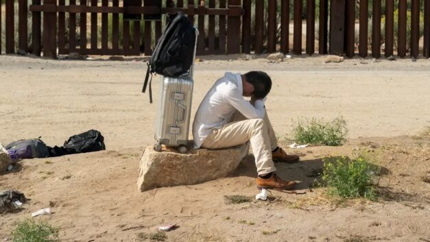 【CDT关注】德国之声｜润美失败后，他们的人生何去何从