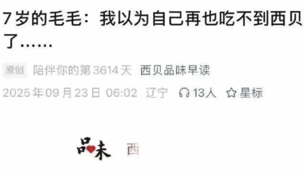 老袁｜35 岁的毛毛：我以为自己再也加不了班了