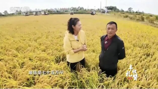 【404文库】建设性意见｜电视台报道水稻亩产万斤？这是在2025年……