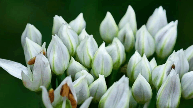 读宋史的赵大胖｜不要在认错的时候硬给自己找面子