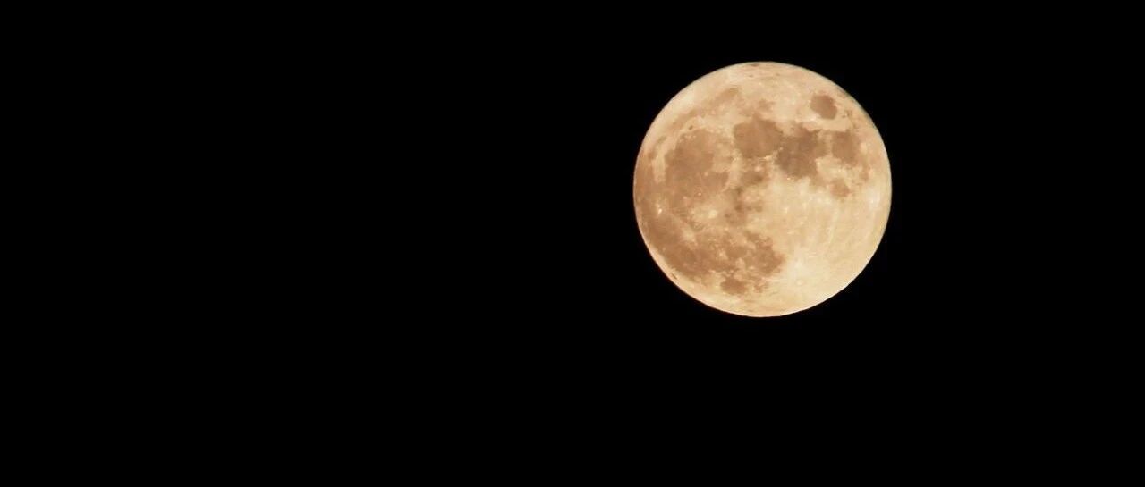 小干体｜留置37，跳楼一人，老板们迎来大时代