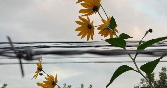 西坡原创｜斗争的年代，又回来了