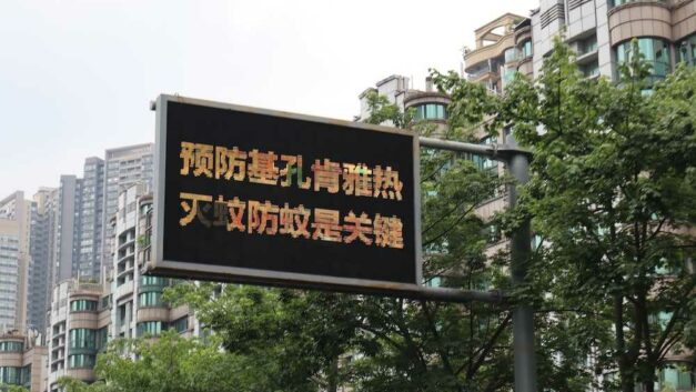 【404文库】建设性意见｜基孔肯雅热确诊超2万例，一个重症都没有