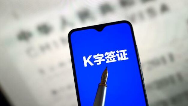 冰川思享号｜中国人才K签证，动了你的奶酪？