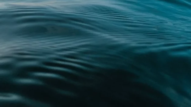 呦呦鹿鸣｜在互联网上漂流的我们