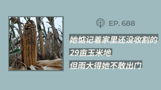 【404文库】“她惦记着家里还没收割的29亩玉米地，但雨大得她不敢出门”（外二篇）