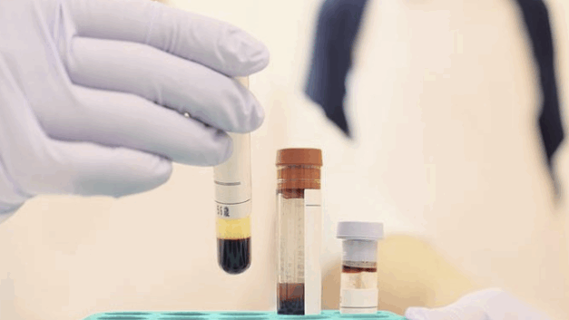 星辉｜DNA数据库与权力的隐秘延伸