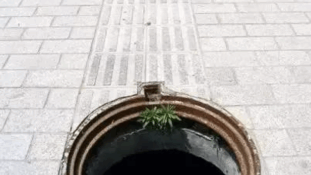 读宋史的赵大胖｜一想到这样的人关注了我三年，我就不寒而栗