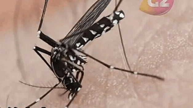 建设性意见｜通常文章没了我都情绪很稳定的