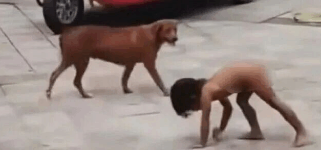 亮见｜把孩子养成野人，比虐待更恶劣！