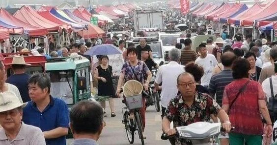 往事和随想｜什么叫“农闹”？谁在说“农闹”？