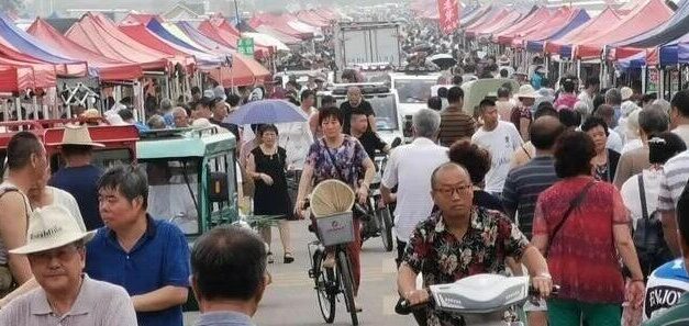 往事和随想｜什么叫“农闹”？谁在说“农闹”？