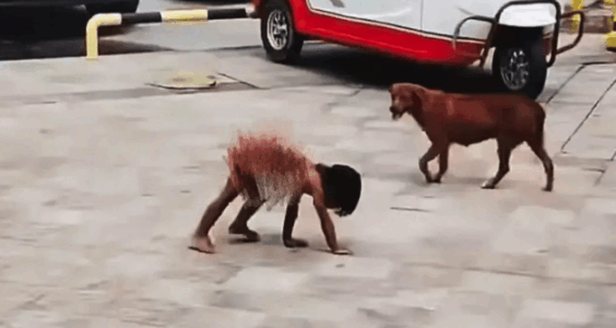 四环青年｜家人同意不让野人小孩赤裸爬行，关键疑点还没查清