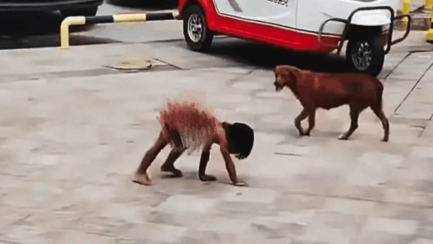 四环青年｜家人同意不让野人小孩赤裸爬行，关键疑点还没查清