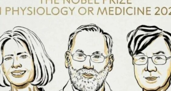 黑噪音｜日本能够“每年获得一个诺贝尔奖”的四大原因