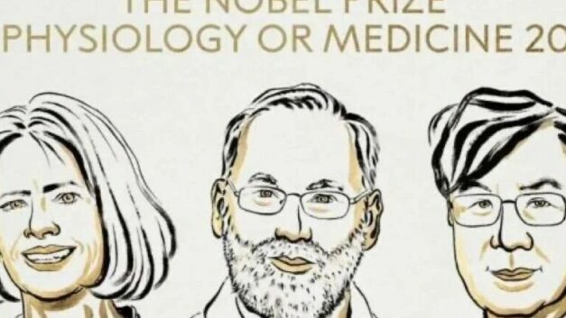 黑噪音｜日本能够“每年获得一个诺贝尔奖”的四大原因