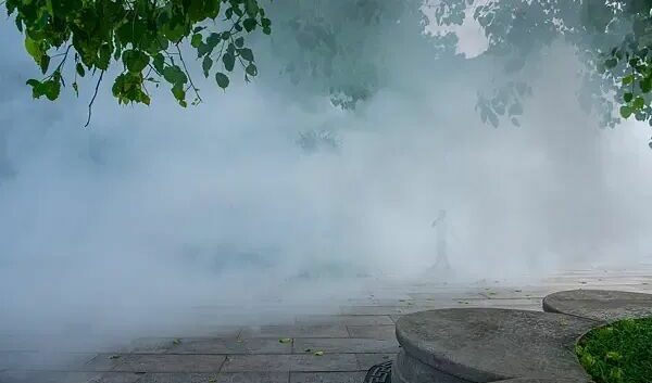 【404文库】极昼工作室｜灭蚊36天，一个基层工作者和她消失的周末