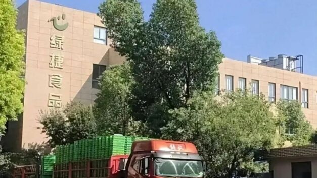 分号十二｜绿捷倒下，我听到的只是三年前的回声