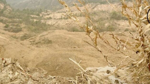 极昼工作室｜消失在玉米地里的母亲