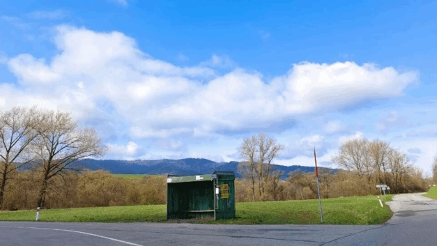 那些原本是废话的常识｜沉迷于房产和铁饭碗的“长远眼光”，只不过是短期经验