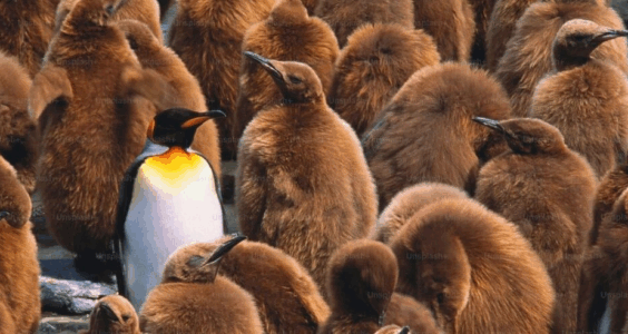 深城记｜考公人数首次超过考研人数，全民公考的时代来了