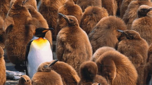 深城记｜考公人数首次超过考研人数，全民公考的时代来了