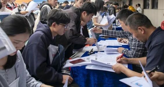 冰川思享号｜本届计算机毕业生，找工作比文科生还难