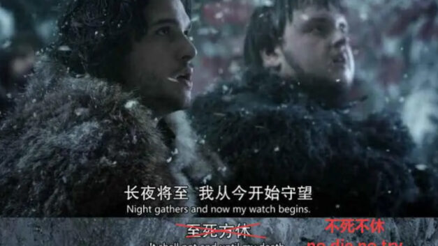 文羊｜六神磊磊与“不死不休”