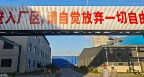 思恩府驿站｜以自由换取面包，终将失去自由和面包